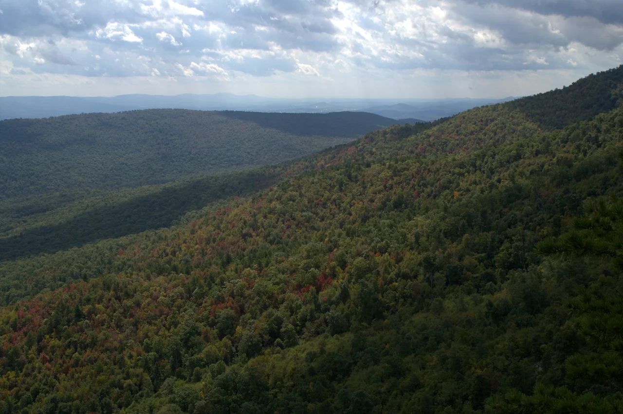 View from the White Rocks on Little Sluice Mountain, in George Washington National Forest, Virginia, USA.