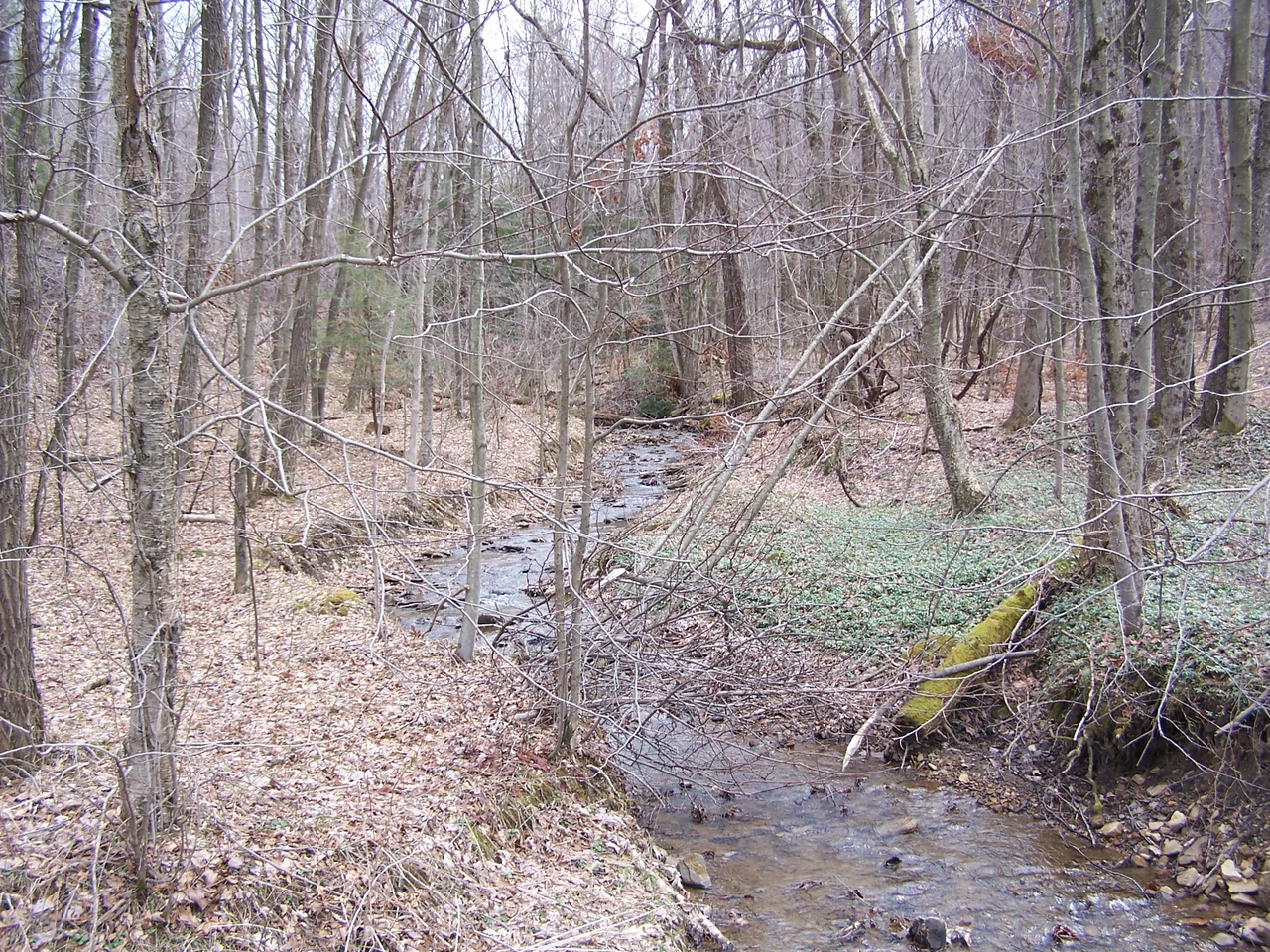Camp Garnett, part of the en:Battle of Rich Mountain (en:American Civil War) in en:Randolph County, West Virginia.