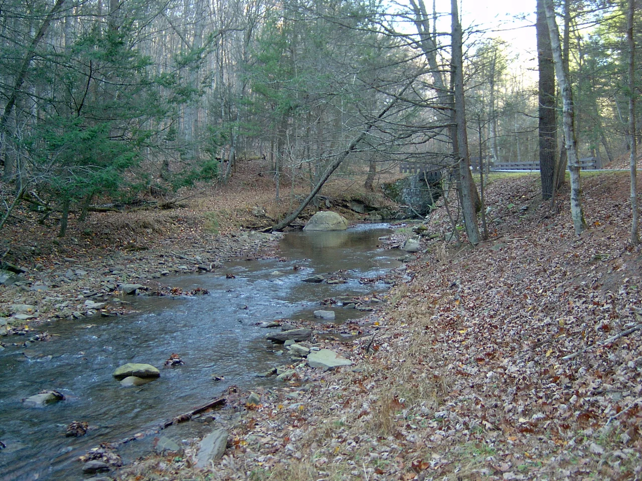 Tributary of en:Lost River in en:Lost River State Park, en:Hardy County, West Virginia. Photo taken on November 6, 2004, by Brian M. Powell.