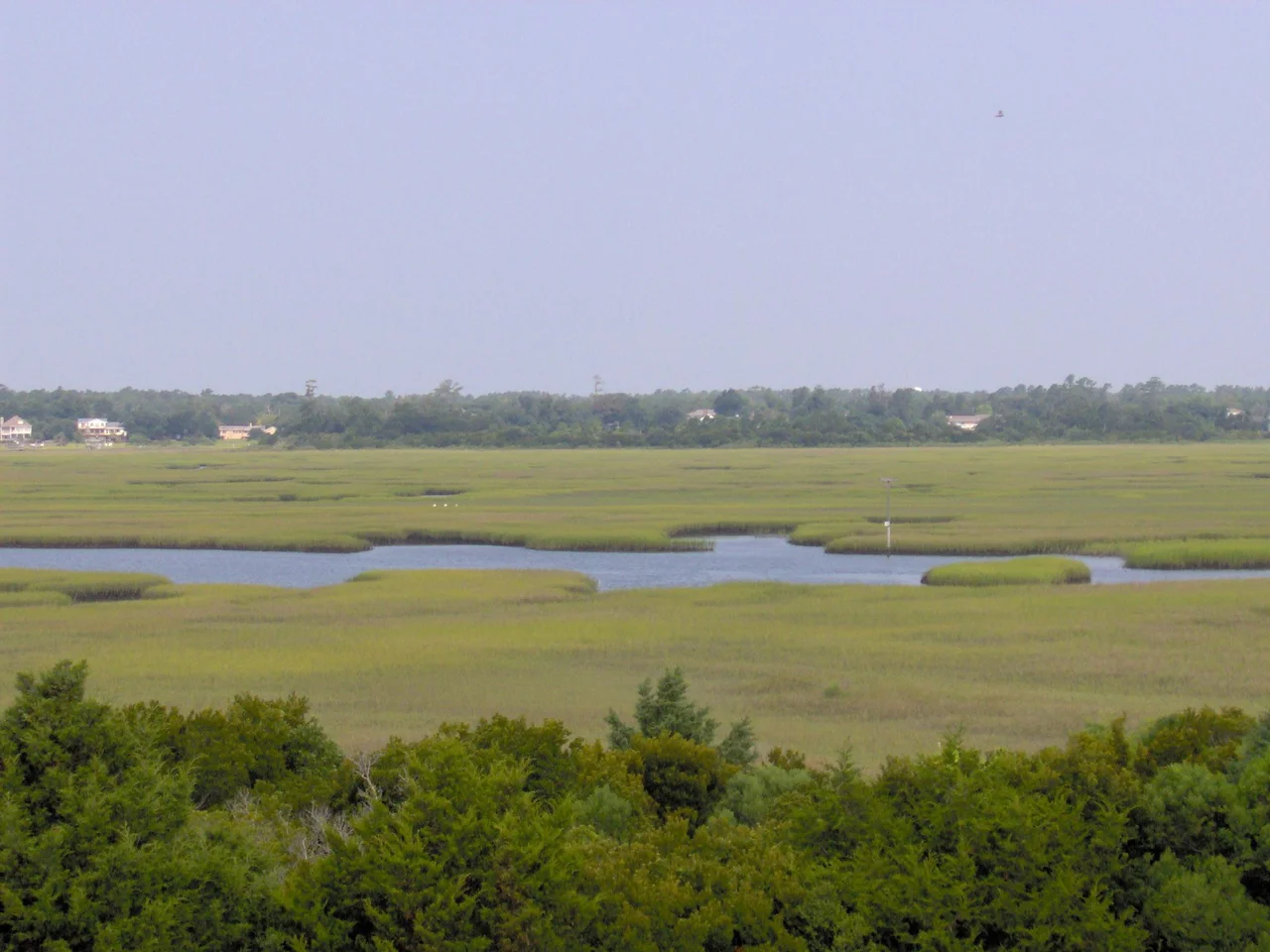 A picture of the marshland on Figure Eight Island as seen from the beach side of the island, picture takin from a 3rd story deck.  Credit: Chris H.