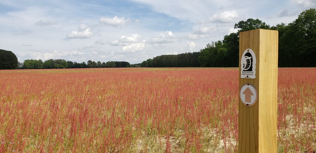 Photograph of walking trail and field at Bentonville Battlefield State Historic Site