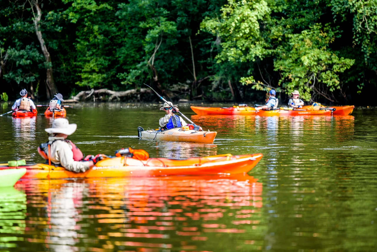 The Tar River is a popular place for kayaking and other water activities in the Greenville area.
