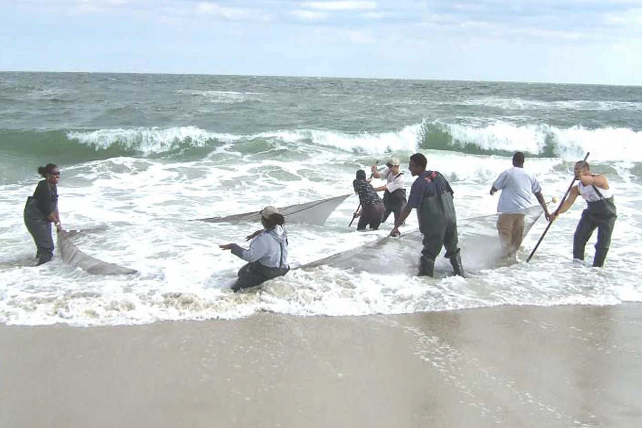 Greetings from Maryland's eastern shore!
NOAA's Office of Education sent this photograph of fieldwork led by Dr. Joseph Love, a faculty researcher with the NOAA Living Marine Resources Cooperative Science Center at the University of Maryland Eastern Shore. Dr. Love took his undergraduate and graduate students on a two-day field trip to Assateague Island for a variety of sampling activities. The students are sampling for fishes in the surf zone on the island. The mission of the Center is to conduct research congruent with the interests of NOAA Fisheries and to prepare students for careers in research, management, and public policy that support the sustainable harvest and conservation of our nation's living marine resources. The Center is a part of NOAA's Educational Partnership Program with Minority Serving Institutions. To date, 311 University of Maryland Eastern Shore students have participated in the program and several are now NOAA researchers or scientists.
Pictured are (from left): Danielle Taylor, Dr. Joseph Love, Ryan Corbin, Greg Oliver, Brandon Fortt, and Reginald Black.