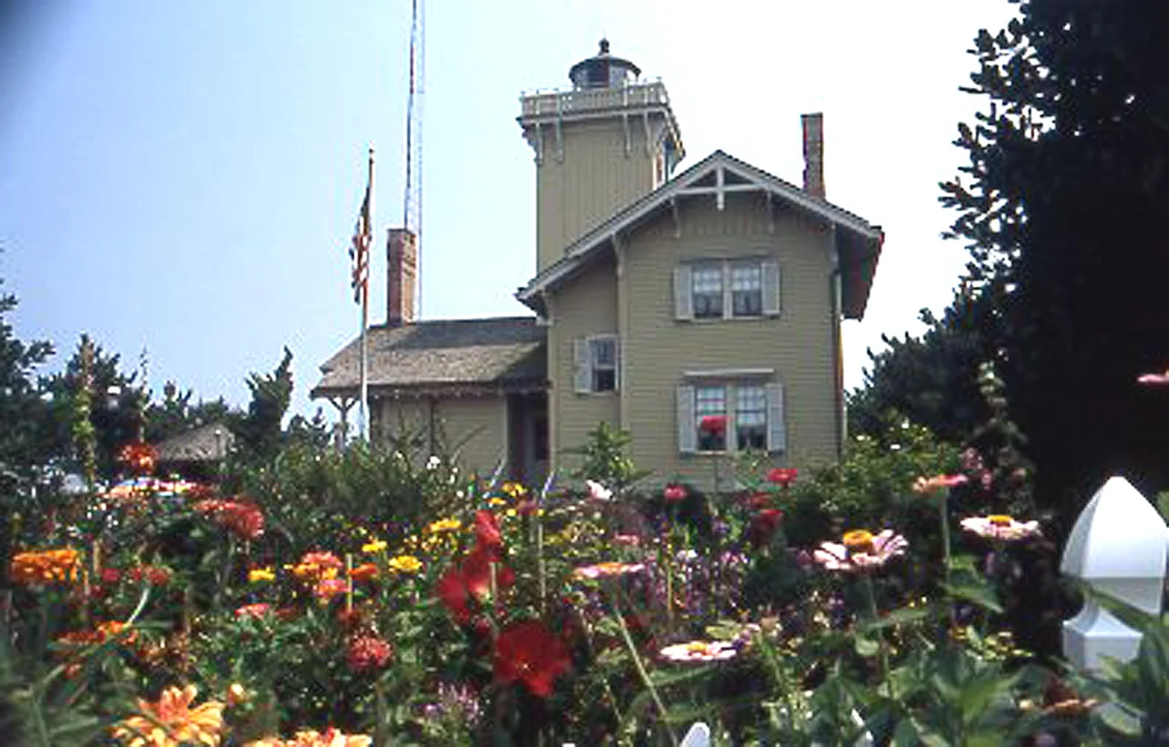 Image made by Skip Willits, August 2005.