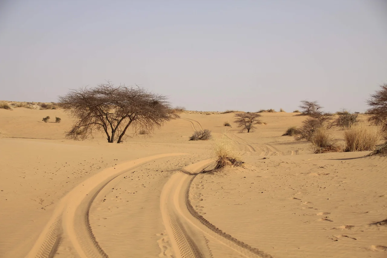 A view of the dune of the Aoukar in Mauritania