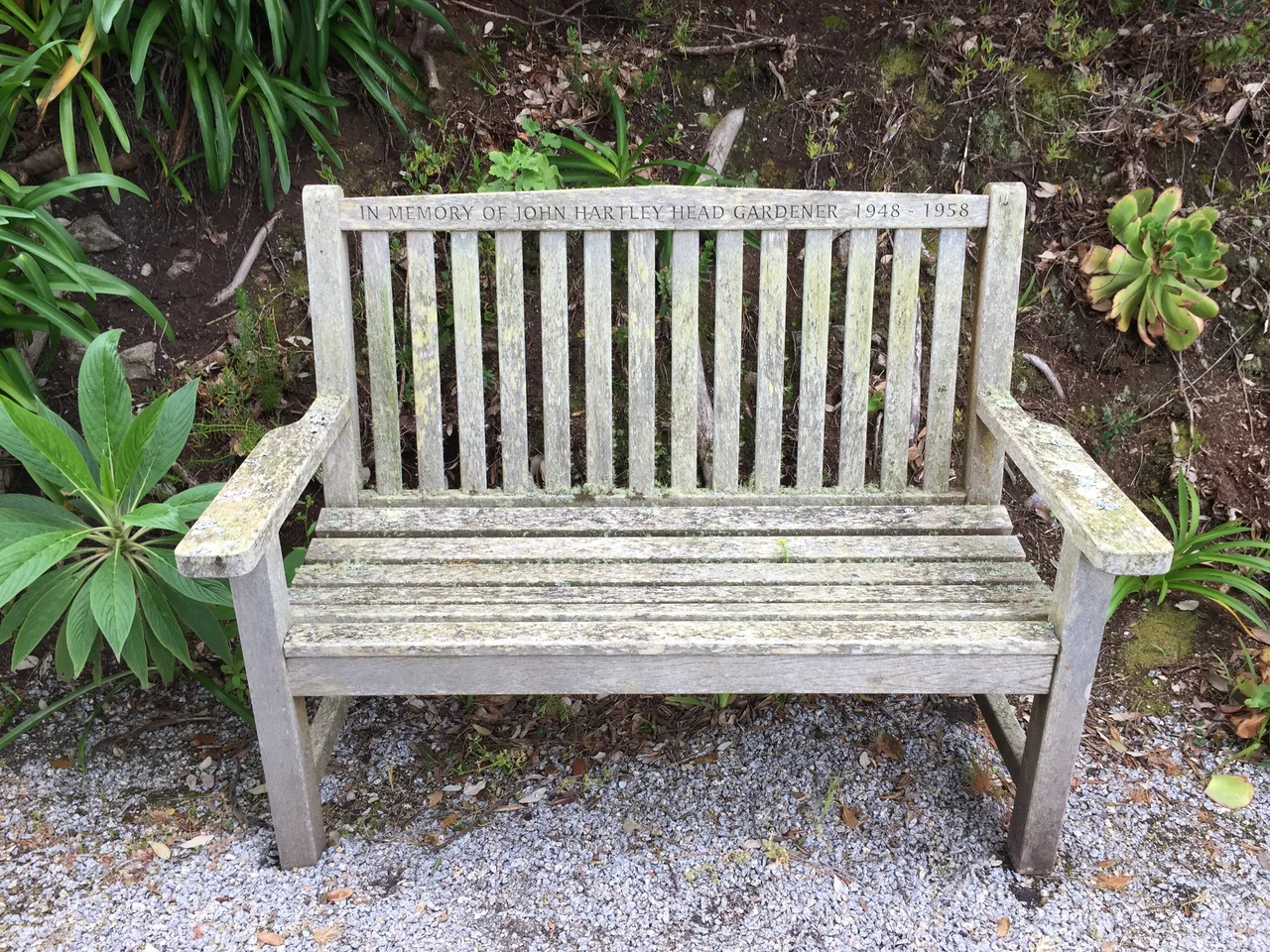 Bench in Memory of John Hartley, Head Gardener 1948-1958, Tresco Abbey Gardens