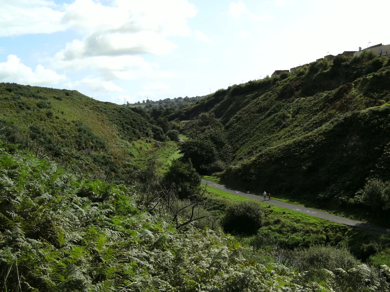 Looking west at the Glen Valley, The Glen, Cork city