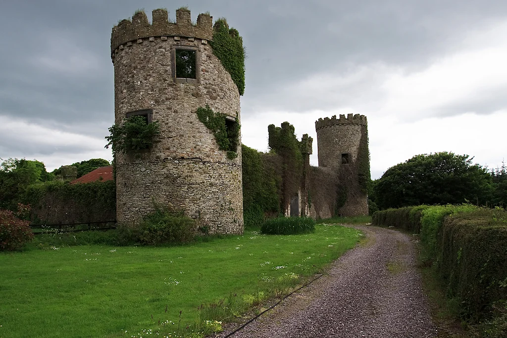 Castles of Munster: Dromagh, Cork (1)