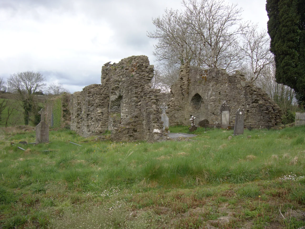 Photograph of the remains of Mourne Abbey, Co. Cork, Ireland