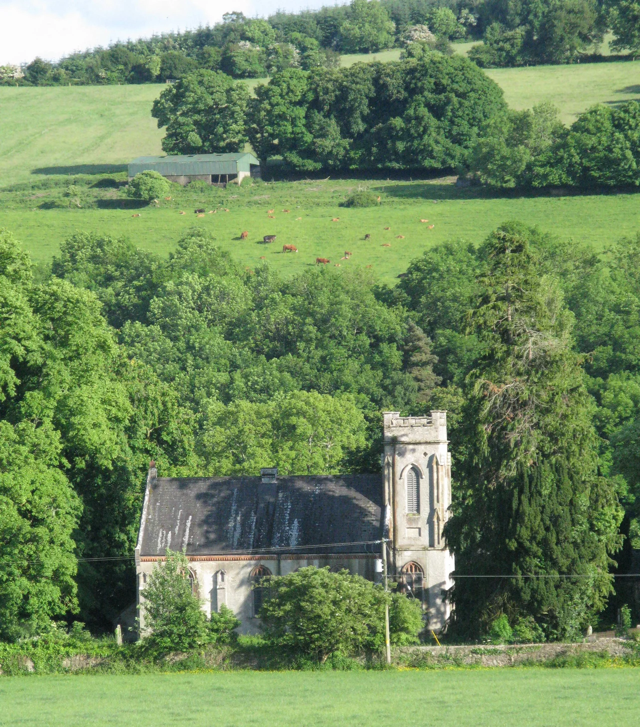 View looking south of St. Patrick's church, Marlfield, Clonmel.