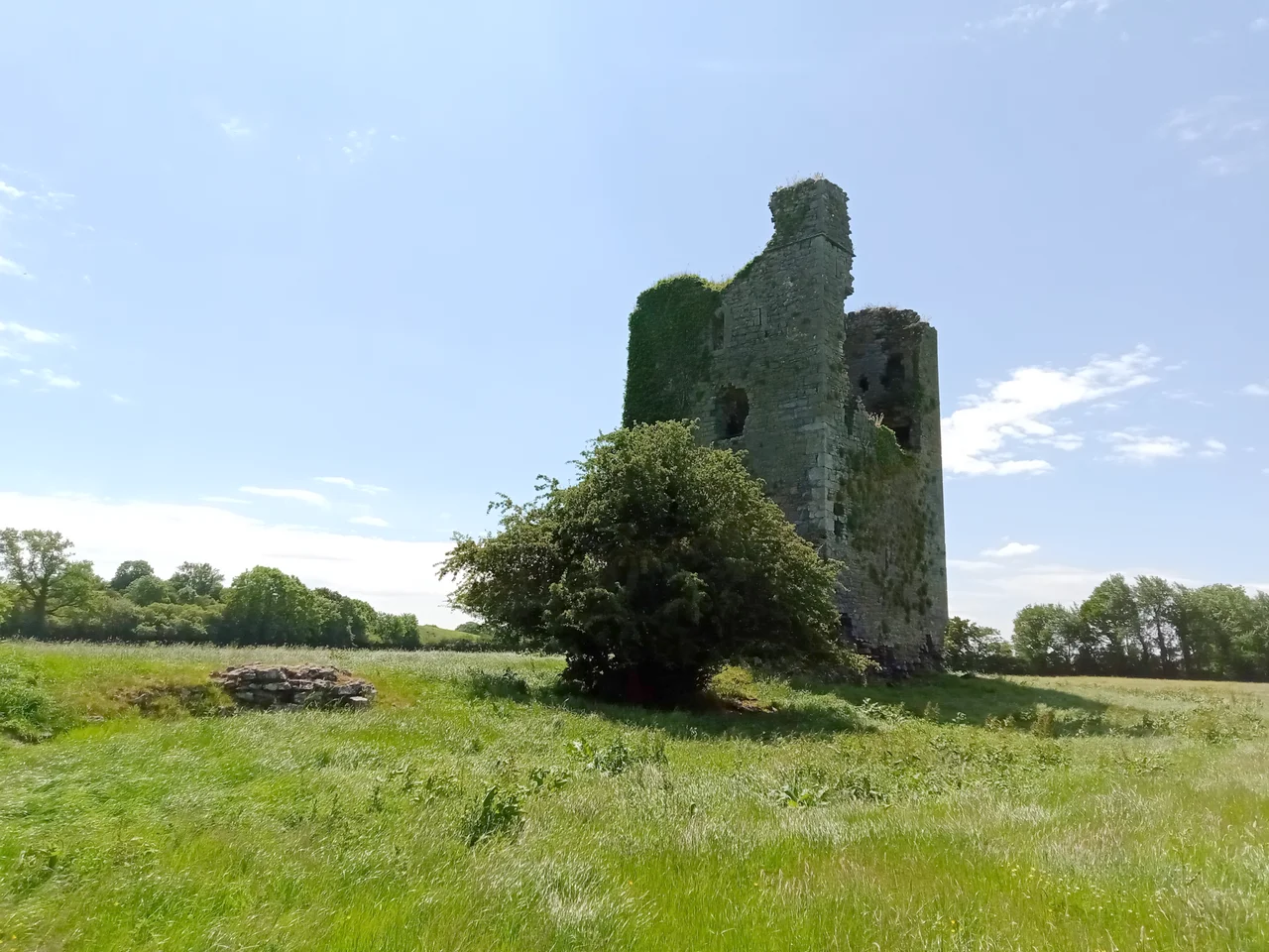 View from the north unto Cantwell's Castle. Note the remains of the wall left of the hawthorn tree