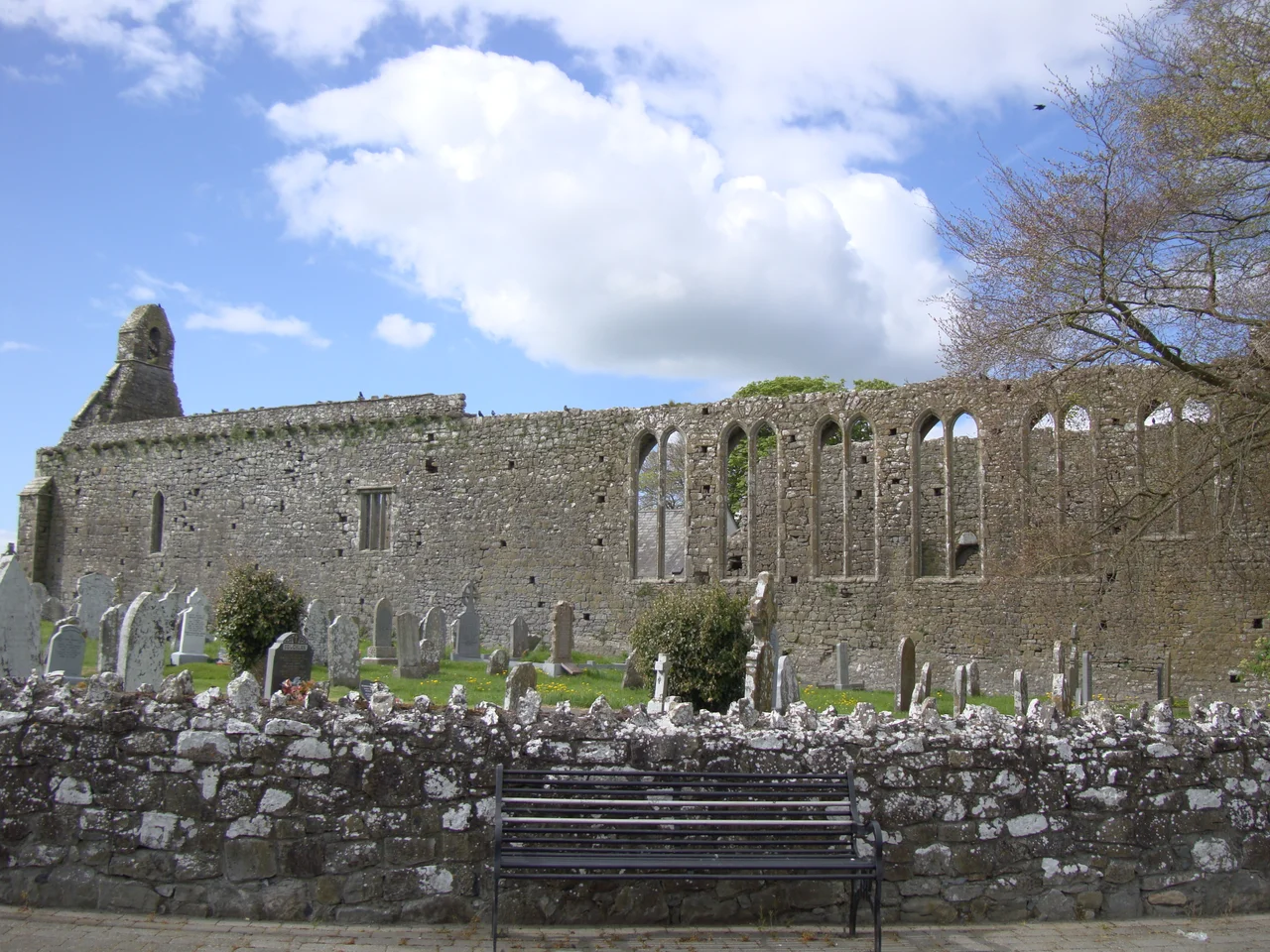 Photograph of the remains of Lorrha Friary, Co. Tipperary, Ireland