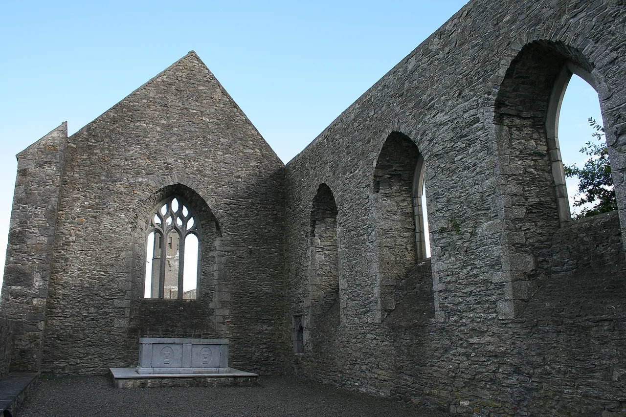 Aghaboe, County  Laois, near to Aghaboe, Kilcotton, Boherard, Corraun and  Badgerisland, Laois, Ireland.
Aghaboe Abbey, founded in 577.