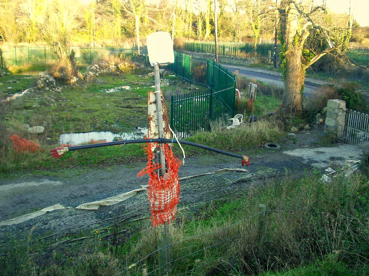 Minding the Carrickminders in Carrickmines