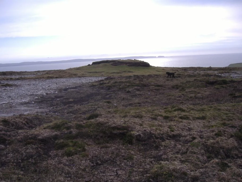 Sidheáns are blocks of turf which are left uncut by the turf cutters.  They are places where there is a 'bad feeling' about cutting the turf from them.  Sidheans normally consist of just peat.  Carraghauns are similar but they have rocks in them (possible megalith sites) and Leachtas have exposed stones in them.  This sidheán is at Killgalligan, Kilcommon, Erris, North Mayo.  Its name is Sidheán Mór.