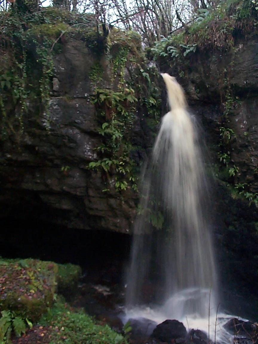 Photograph of the entrance to cave Pollnagollum Coolarkan (or Coolarkin), County Fermanagh and adjacent waterfall.
