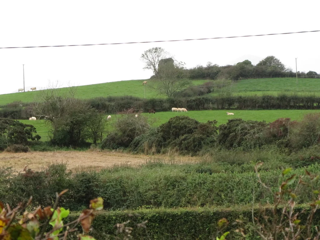 Castle Skreen from the Erenagh Road
