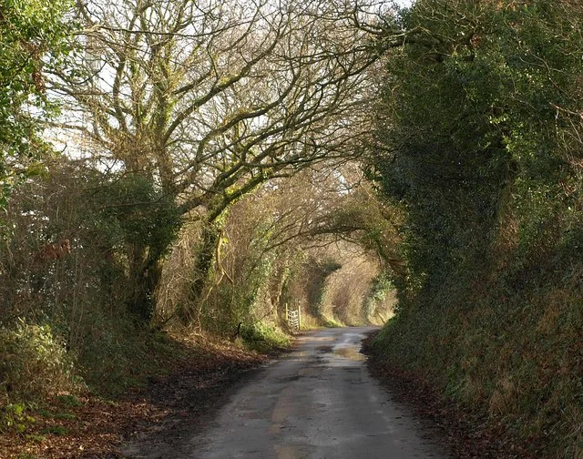 Exwick Lane This old lane provides a link between the countryside and the modern housing estates around Exwick.