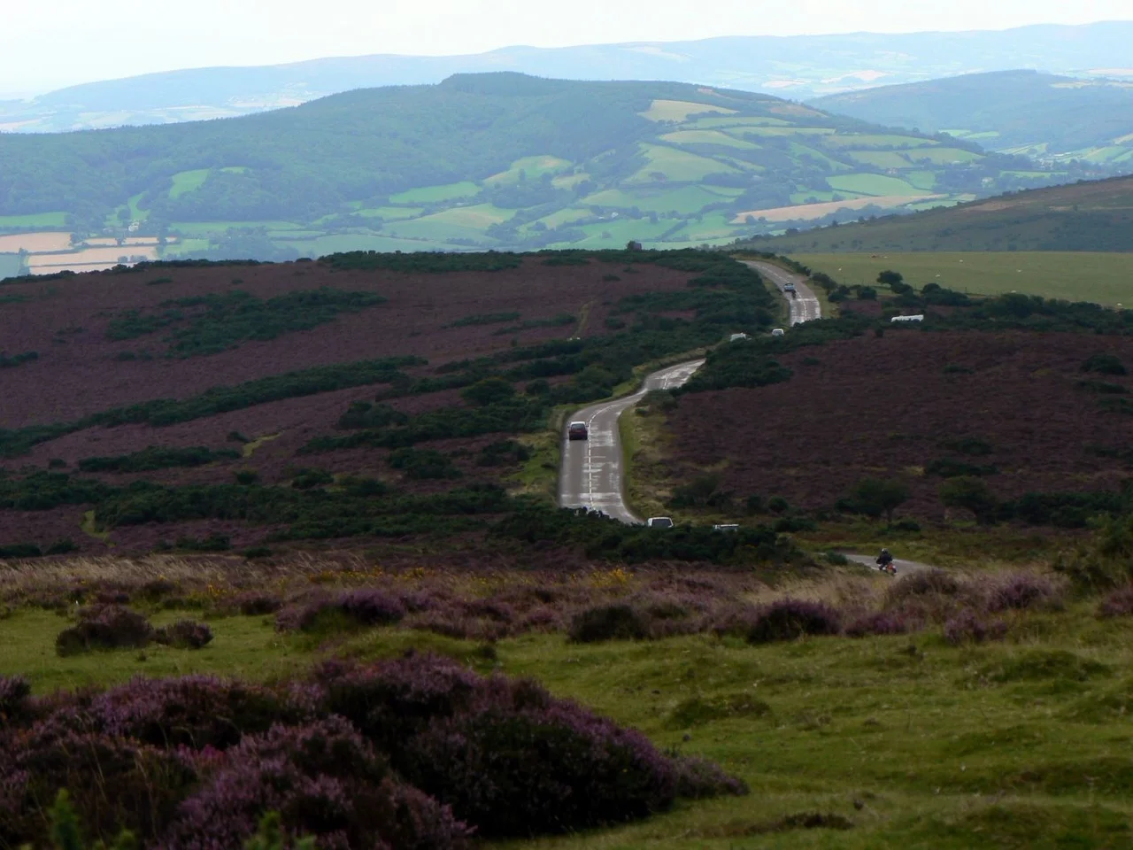 Exmoor coastline. Photo taken from The Diagonal Route above Big Bluff. Bird count group stood on Wringapeak. Valley of Rocks in the middle distance. Foreland Point far distance. Photo taken by Terry Cheek.