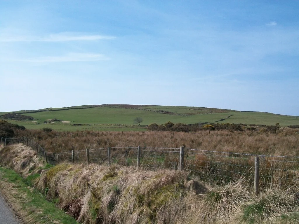 Boggy land in the col between Y Foel and Mynydd Cennin