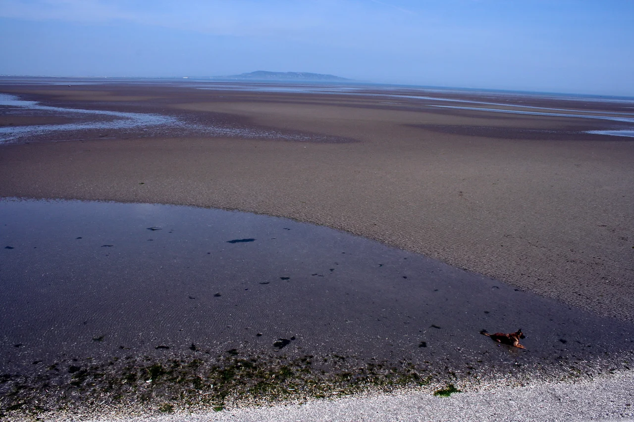 The sandy expanse the Irish Sea coastline at Dublin Bay at low tide