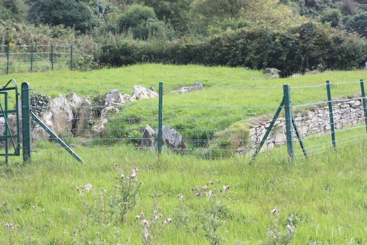 Audleystown Court Cairn, County Down, Northern Ireland, August 2009 (off the Audleystown Road near Strangford)