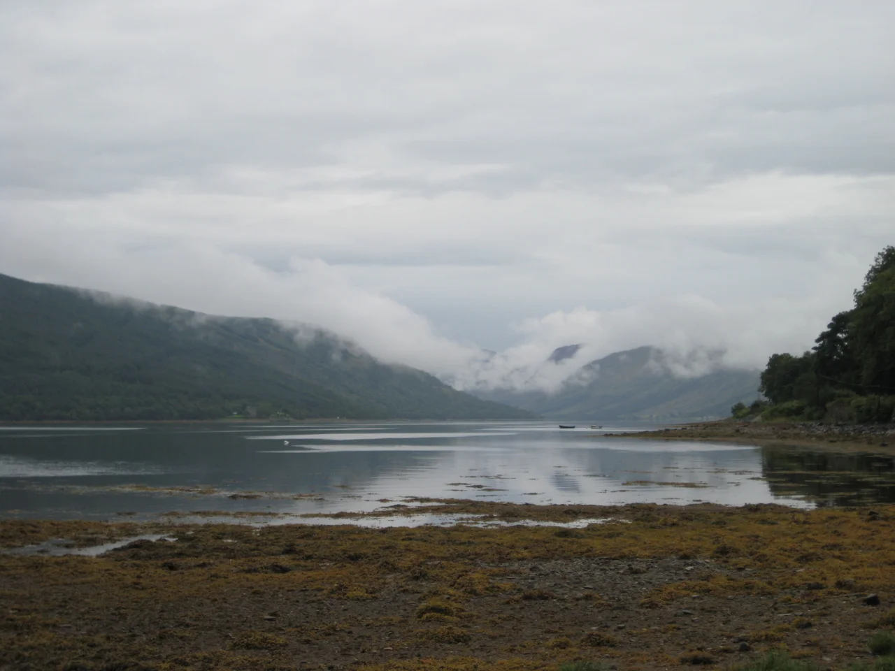 Loch Fyne, Argyll and Bute, Scotland
