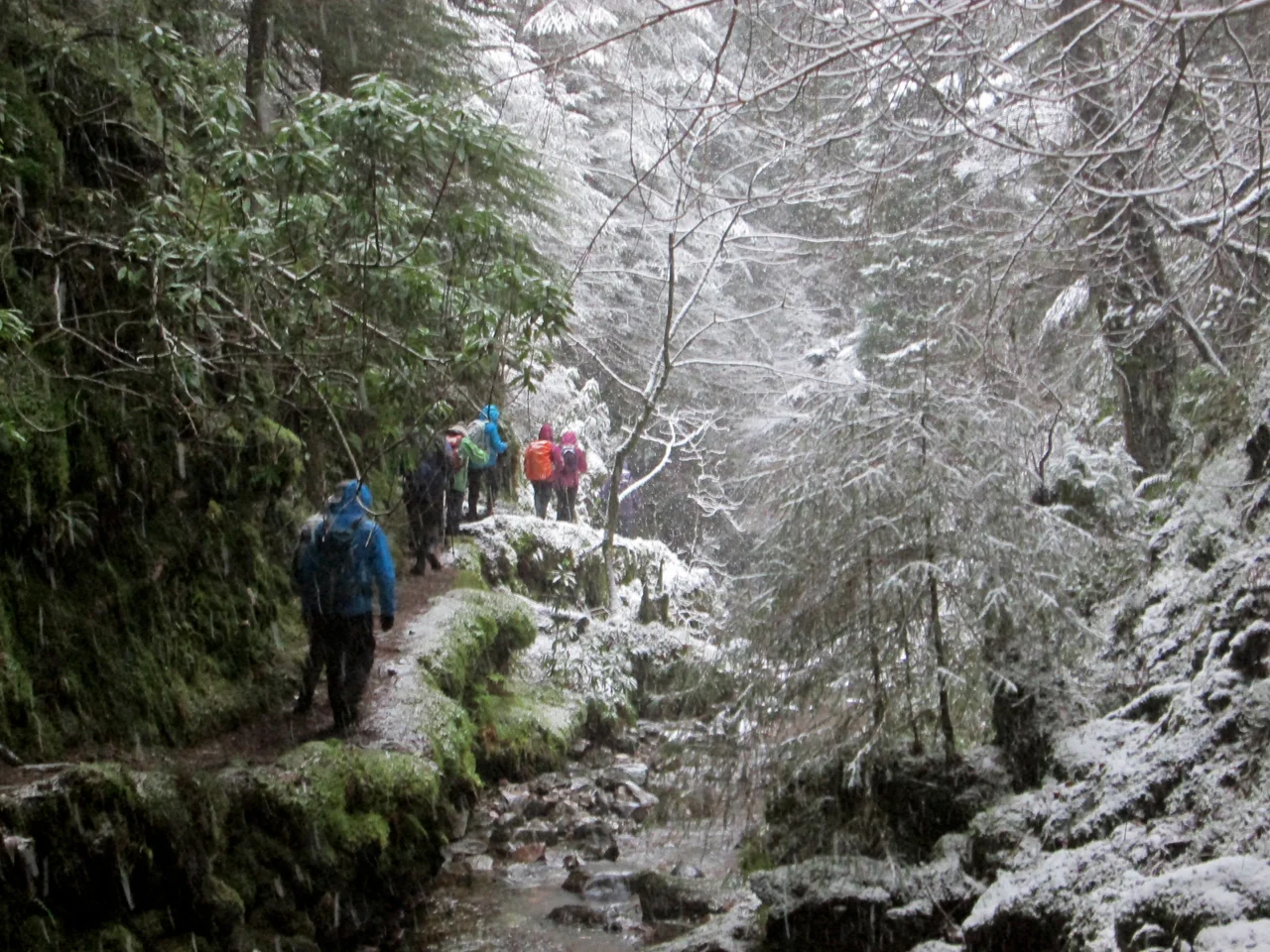 Puck's Glen, a scenic ravine near Benmore Botanic Garden on the Cowal peninsula in Argyll and Bute, Scotland, with a path beside the river providing a scenic walking route which is a popular feature of the Argyll Forest Park. Winter scene at ravine.