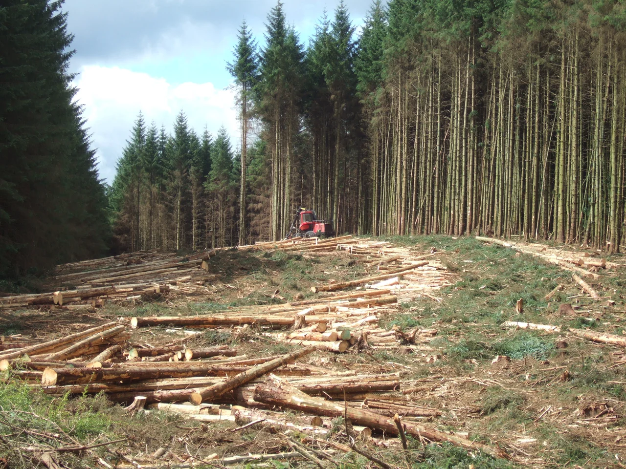 Timber harvesting at Kielder, a Valmet 941 harvester working in (southern) Kielder Forest, Northumberland, England