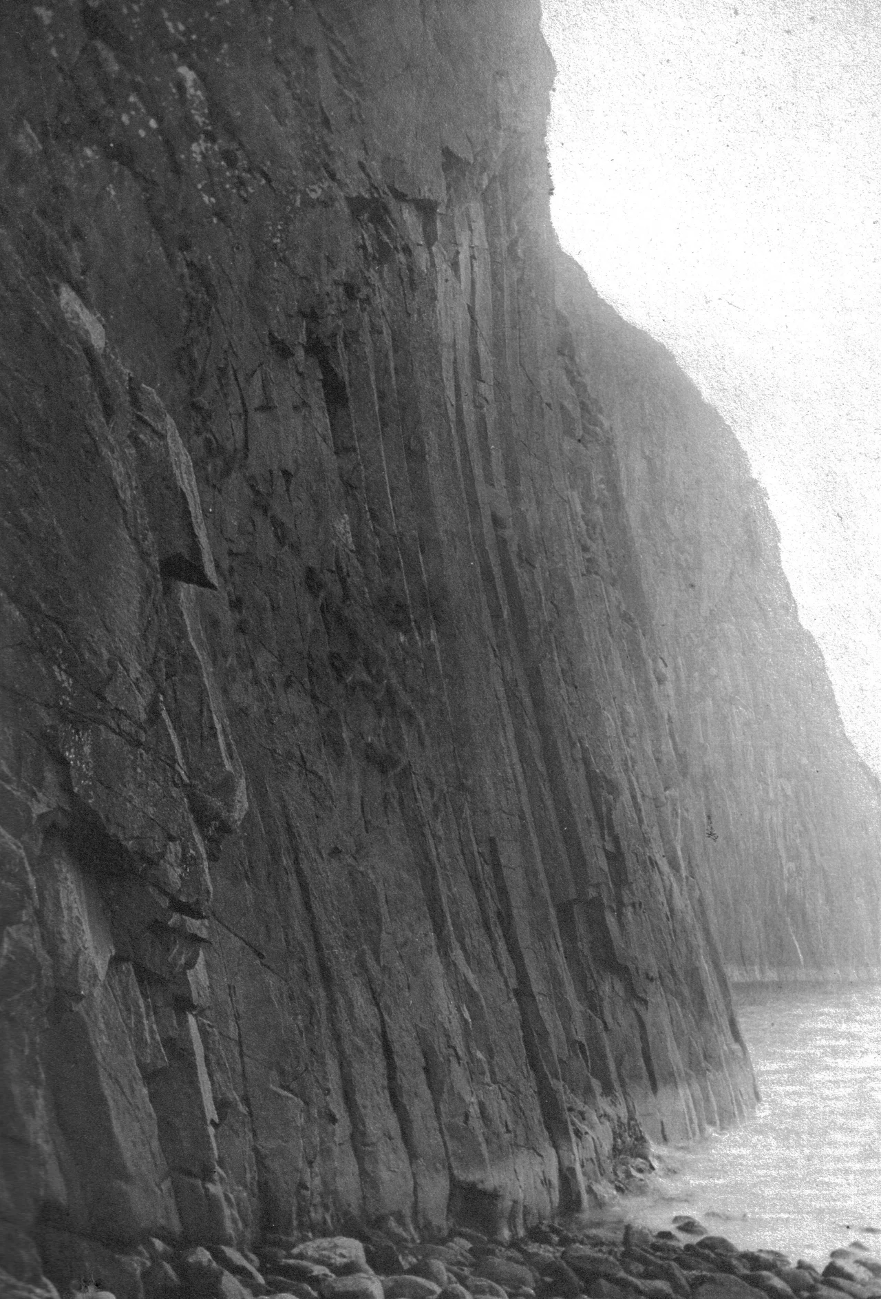 The Eyrie of a White-tailed Sea Eagle on the Shiant Islands (Scotland) in 1888.