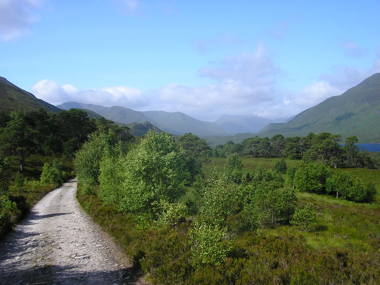 View along Glen Affric, with a bit of Loch Affric visible to right.