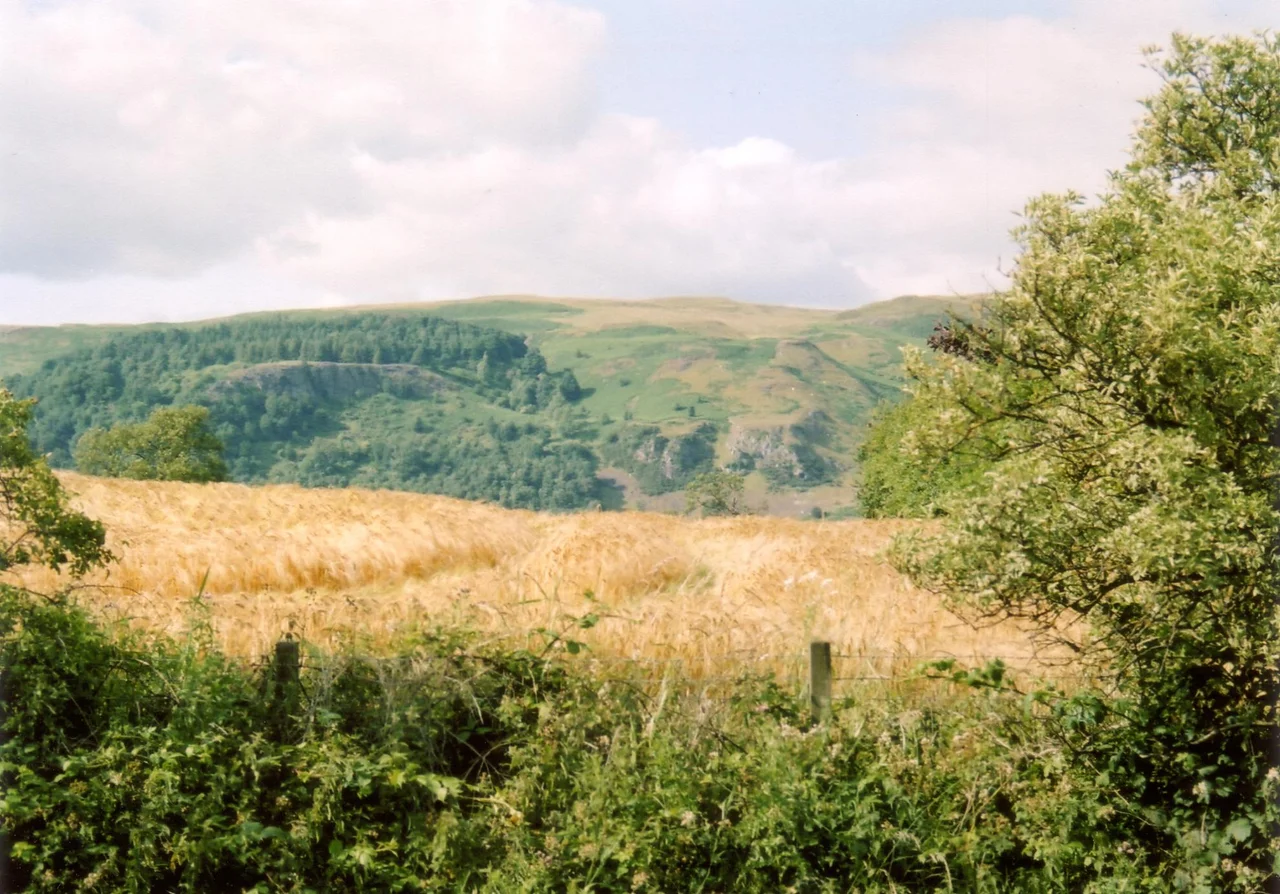 My own picture of the ochill hills from Alloa road traveling to tullibody in summer 2005.