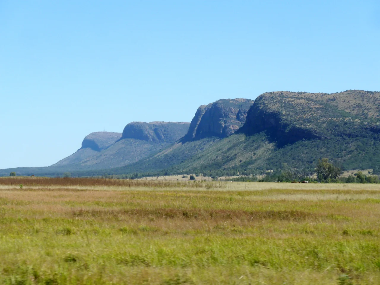 Sandrivier range, south of Vaalwater in the Waterberg, Limpopo, South Africa. This range forms the edge of the plateau, just south of the Waterberg Biosphere as currently defined. It consists of coarse grained, yellow, cross-bedded sandstone.
