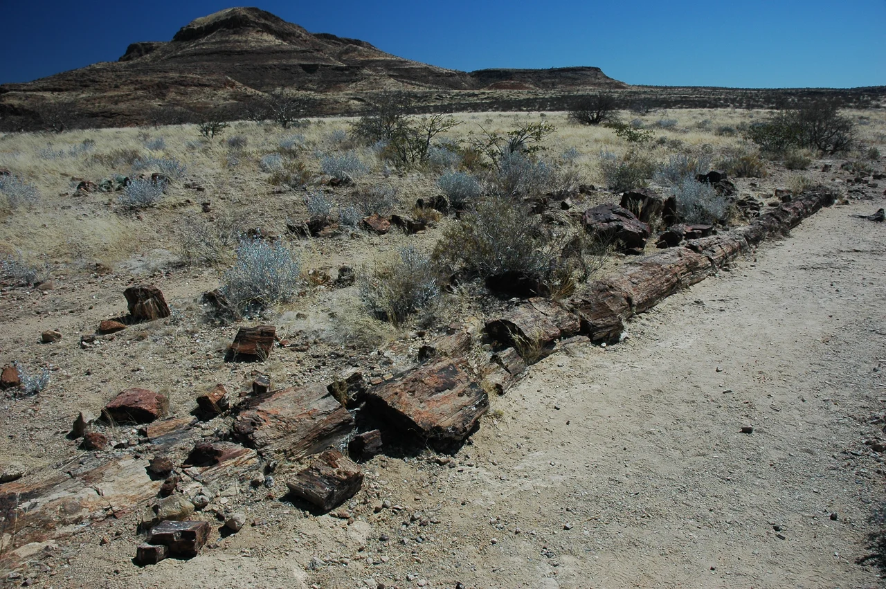 Namibie Petrified Forest

Photographie prise par GIRAUD Patrick