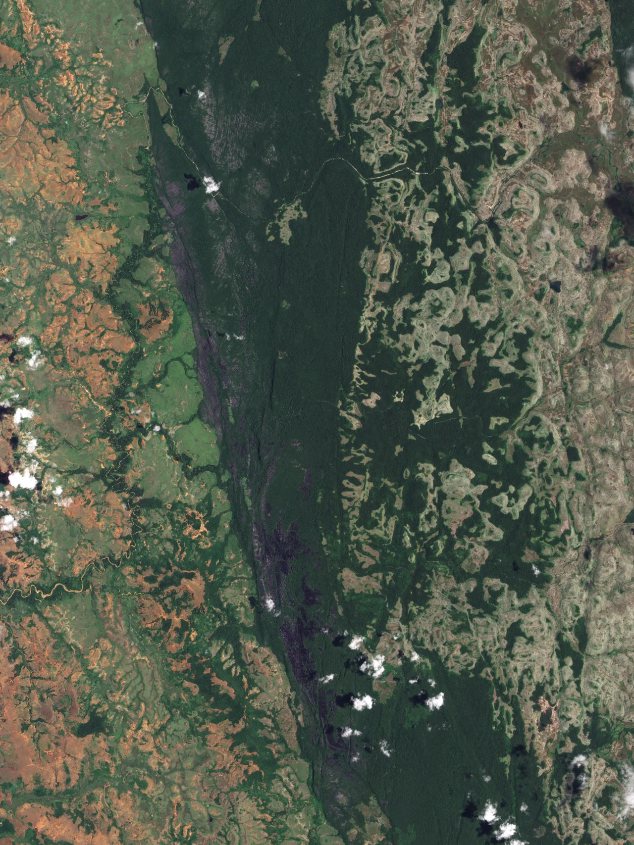This true-colour image shows a portion of Madagascar’s Tsingy de Bemaraha National Park. Although less dramatic from the sky than from the ground, the rock formations are still visible in this image, especially near the top centre. Together, naked rocks and vegetation produce a patchwork of green and grey. The outcrops appear to form long lines that run roughly north to south, but this is due partly to the angle of sunlight. Just as the clouds cast their shadows to the west, the rocks cast their longest shadows in that direction, too. In reality, breaks along multiple directions dissect the spires of rock, forming a cross-hatch pattern. The formation of these unusual rocks actually began some 200 million years ago when layers of calcite accumulated at the bottom of a Jurassic lagoon, forming a thick limestone bed. Later tectonic activity elevated the limestone, and as sea level fell during the Pleistocene ice ages, even more of the limestone was exposed. No longer underwater, the ancient sediments were carved by monsoon rains, which washed softer rocks away and left tougher rocks standing. Meanwhile, groundwater carved caves below the surface. As cave ceilings gave way, canyons formed between rocky towers. Today, the limestone formation shows a combination of jagged spires and rounded surfaces.