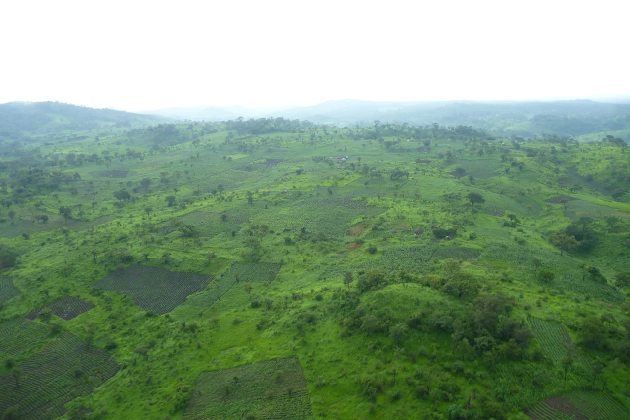 Les collines verdoyantes du Katanga durant la saison des pluies.