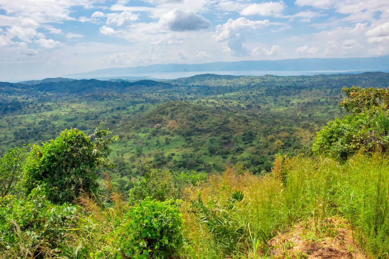 ear Sebele (Foreground) with lake Tanganyika and the Ubwari peninsula seen in the background.