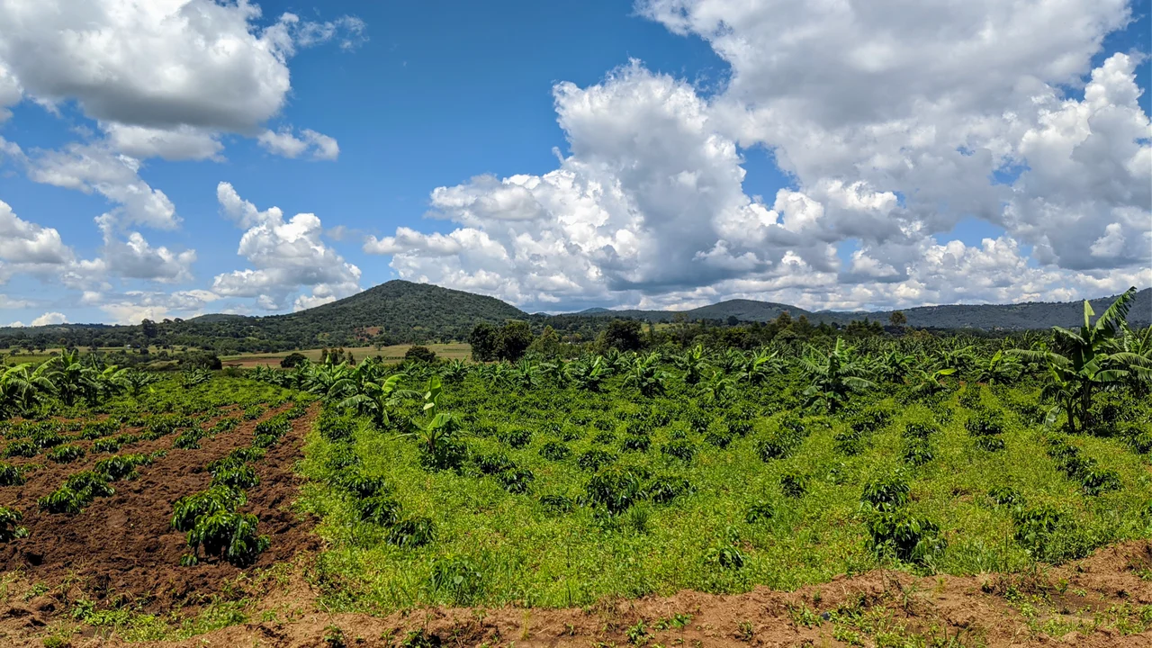 Fields and mountains found in Tanzania in the Songwe region, the mountains in the foreground are bordered by the Mbozi meteorite