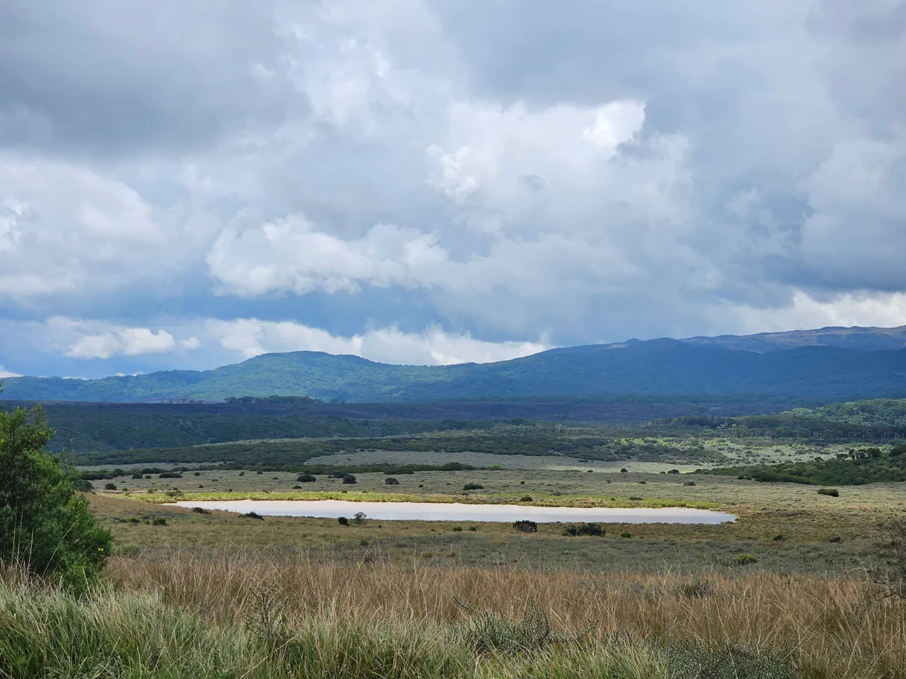 Lake in Aberdare National Park