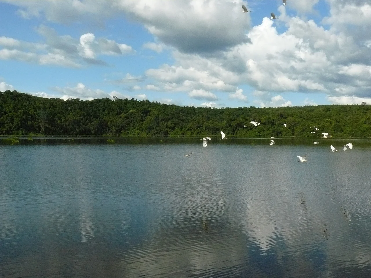 Lake Ravelobe, Ankarafantsika National Park, Madagascar.