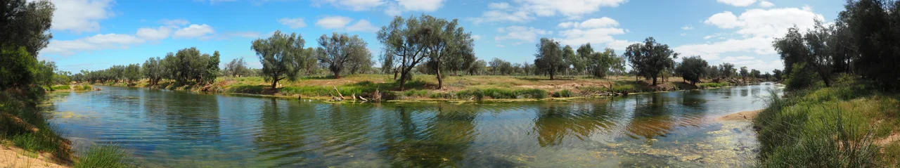 After heavy rains the Murchison river turns a vibrant brown color, laden with chemicals, dead animals, fecal matter and dangerous bacteria. This is dangerous to swim in and fish from. It is also a breeding ground for mosquitoes which carry harmful diseases.