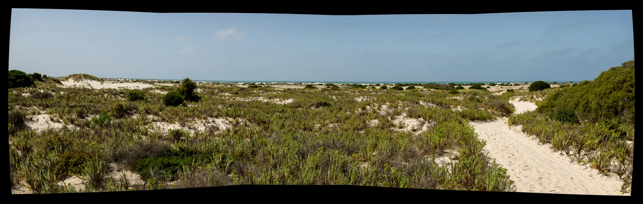 Eucla coastline from top of the Eucla pass, Western Australia