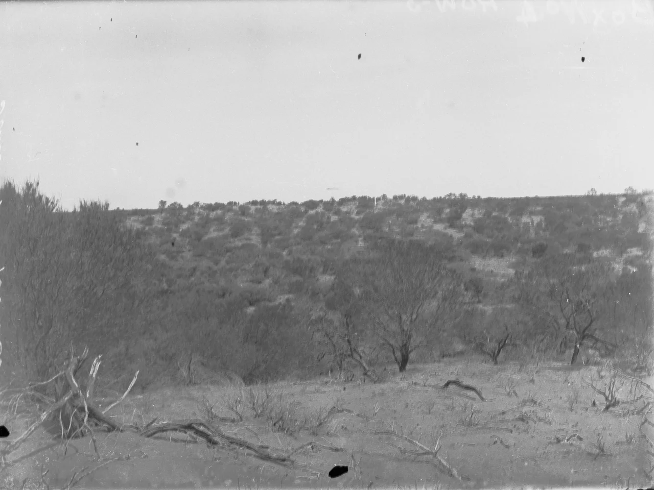 Commonwealth Railways G class locomotive no. G22 with a wood and water train at Ooldea, South Australia, on the Trans-Australian Railway.The locomotive was built by Toowoomba Foundry, Toowoomba, Queensland, Australia. It entered service in June 1917, was officially withdrawn in July 1952, and was scrapped in March 1959.Some of the information provided here about the image is obtained from Fluck, Ronald E; Marshall, Barry; Wilson, John (1996). Locomotives and Railcars of the Commonwealth Railways. Welland, SA: Gresley Publishing, p. 29. ISBN 0959969039.