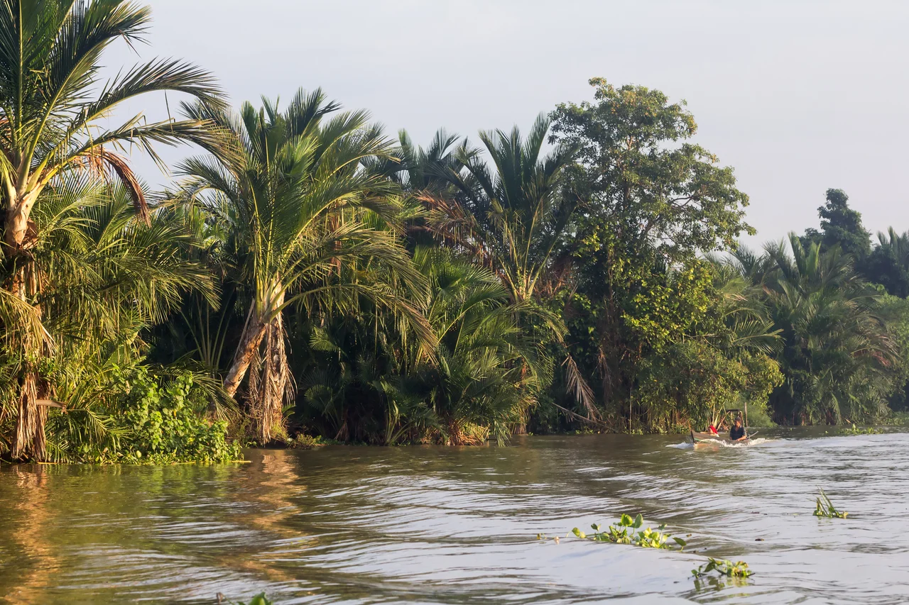 Banks of Martapura River, South Kalimantan, 2018-07-28. A man in a small boat is visible to the lower left.