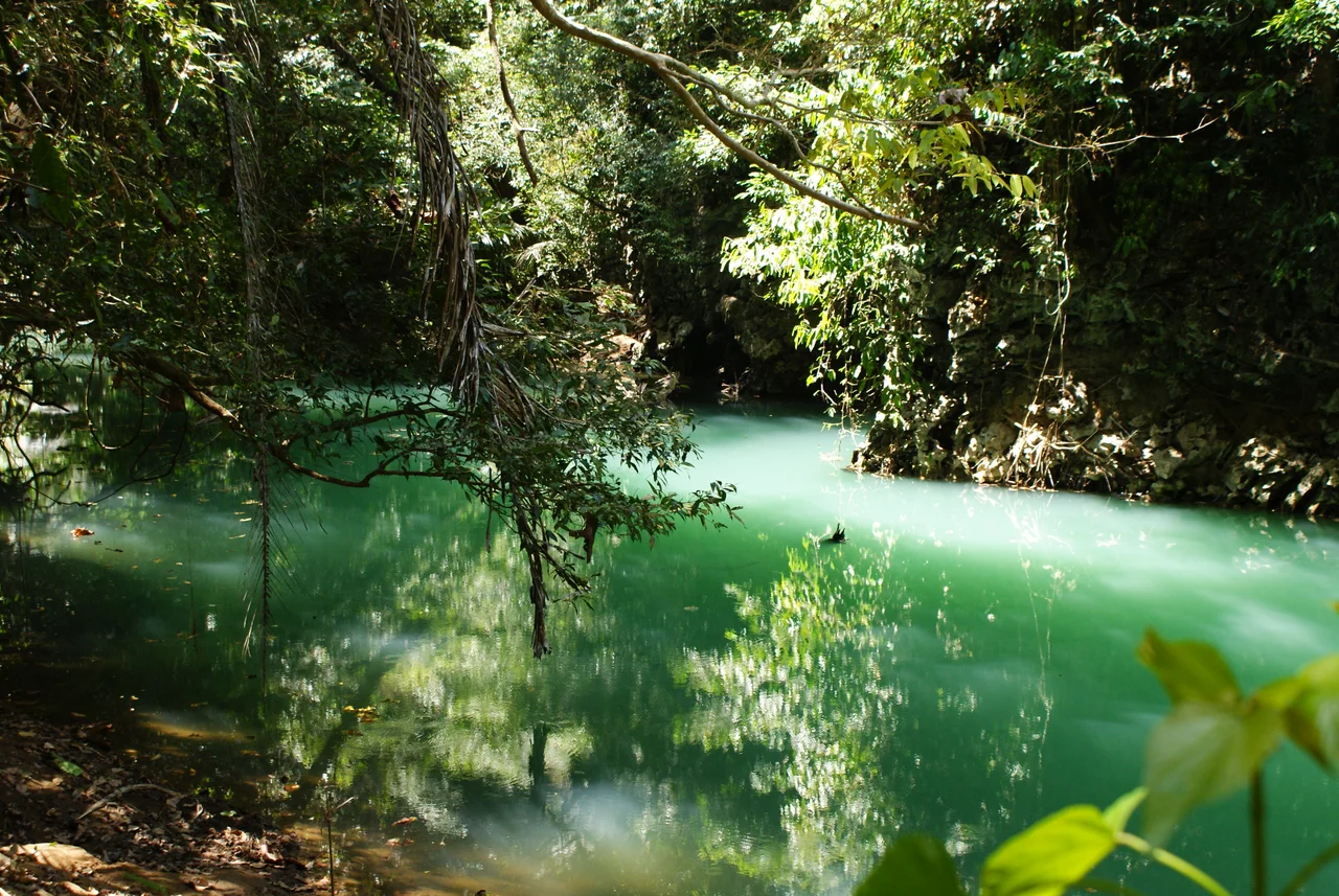 Green river, Bantimurung National Park