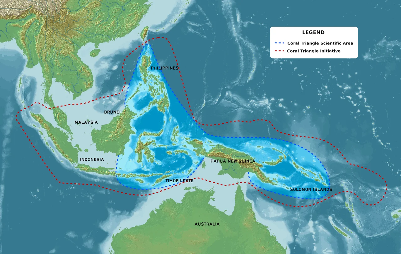 Coral Triangle and countries participating in the Coral Triangle Initiative, based on (4 March 2014). "Developing Marine Protected Area Networks in the Coral Triangle: Good Practices for Expanding the Coral Triangle Marine Protected Area System". Coastal Management 42 (2): 183–205. DOI:10.1080/08920753.2014.877768.