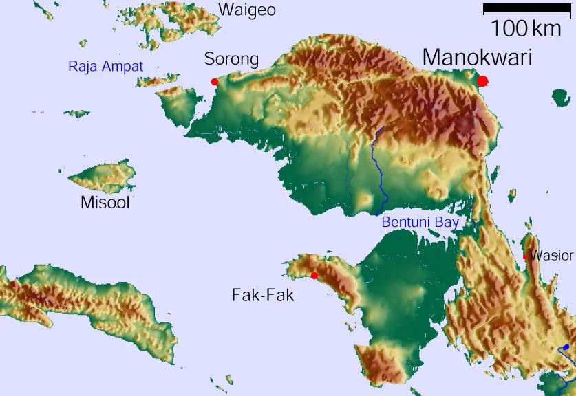 Vogelkop Peninsula, West Papua (Indonesia)