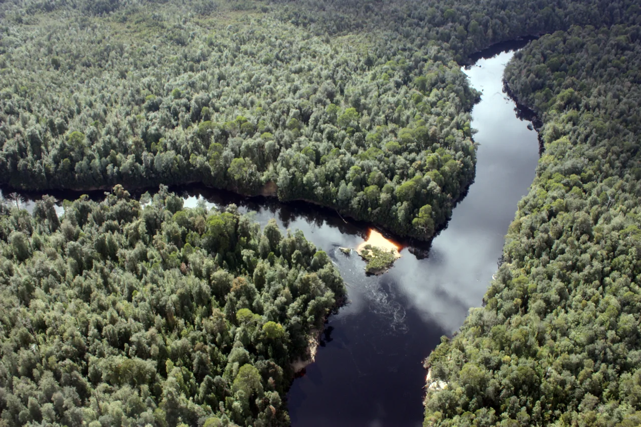 w:Franklin River, Tasmania meets the w:Gordon River, Tasmania