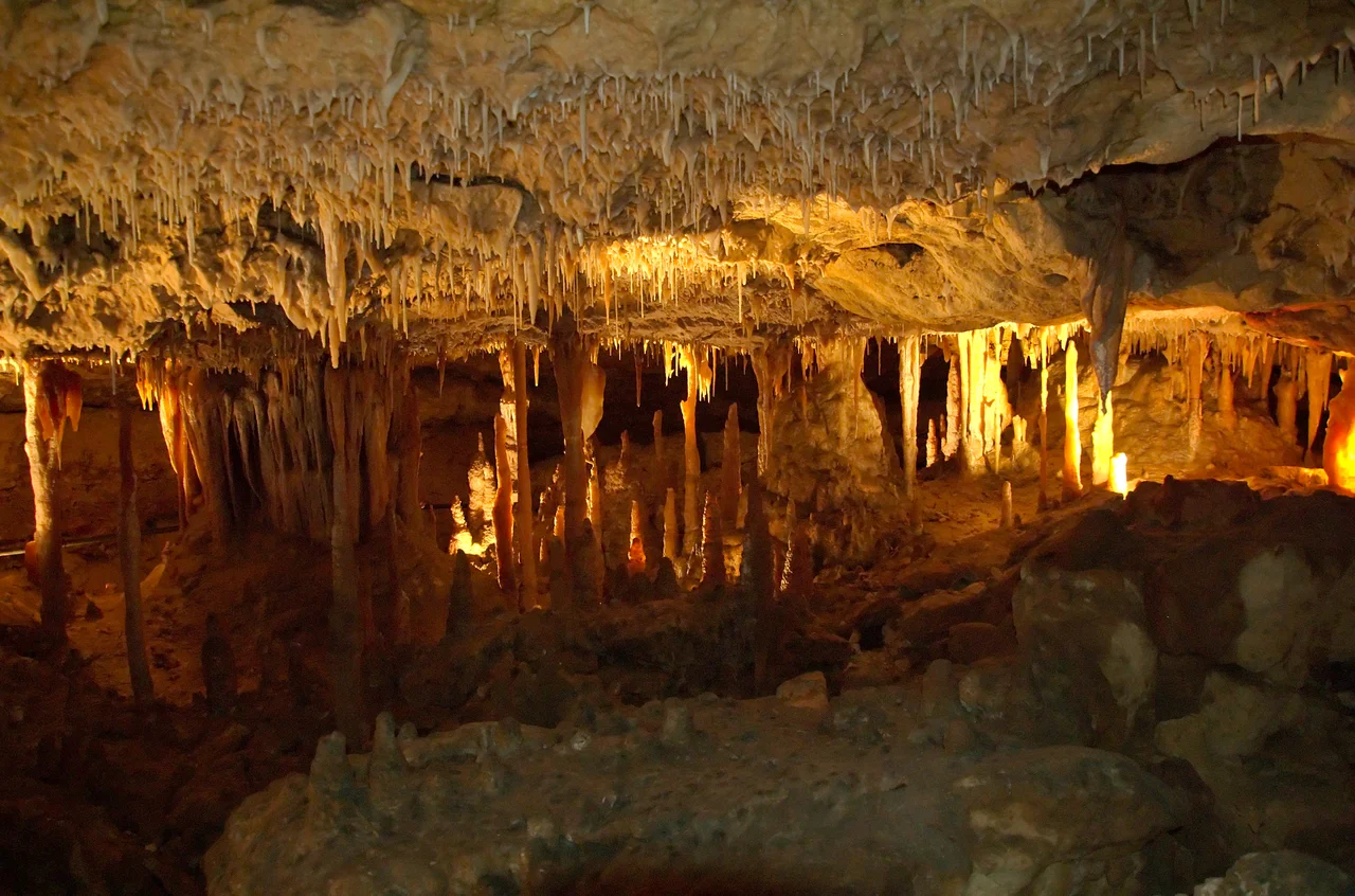 Interior of one of the caves at Naracoorte, South Australia