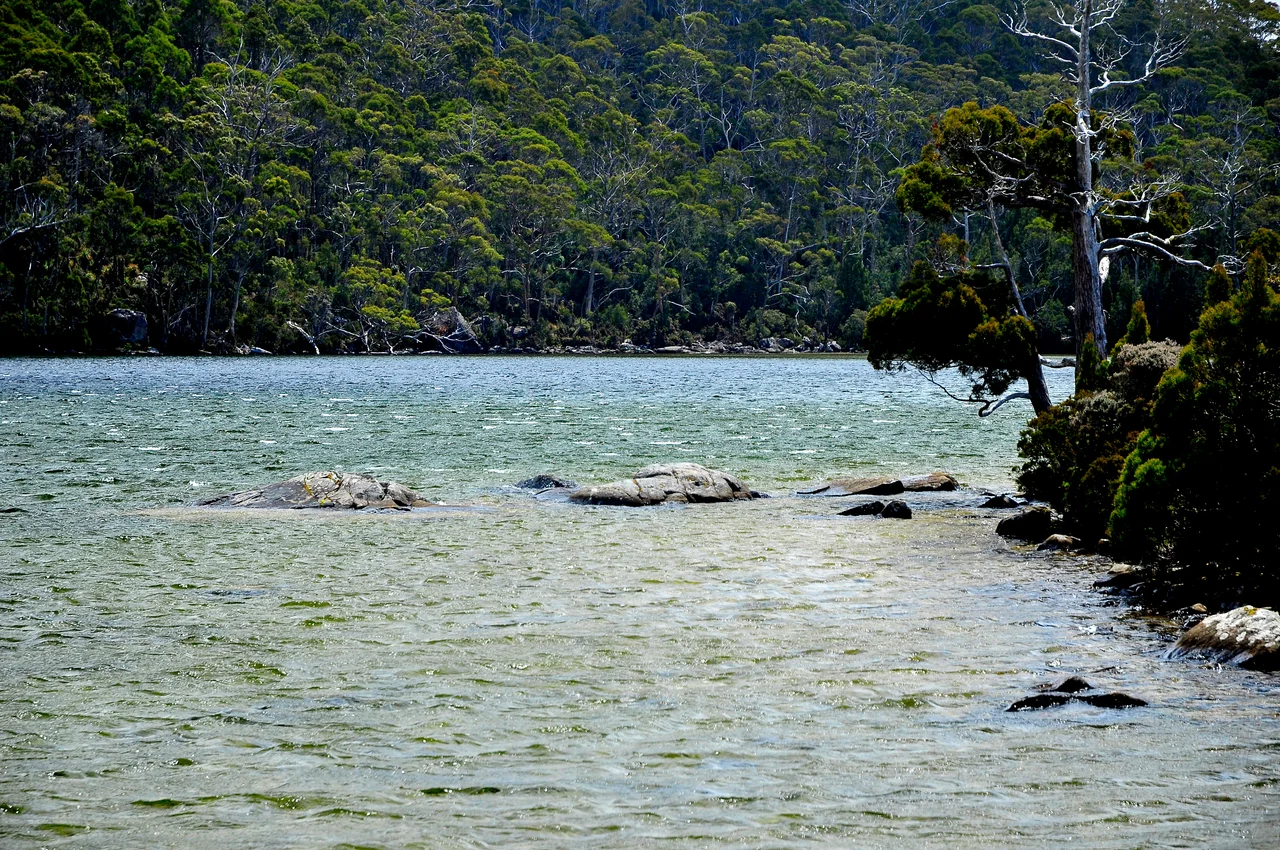 Lake Dobson. Mount Field National Park, Tasmania, Australia